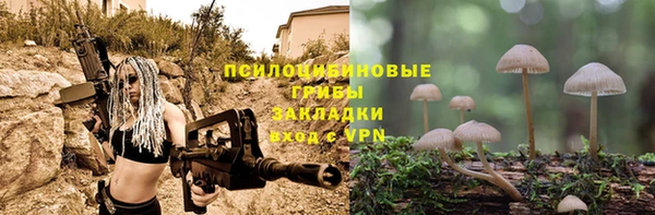 гашик Алзамай
