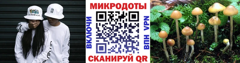 Галлюциногенные грибы Magic Shrooms  кракен рабочий сайт  Качканар 